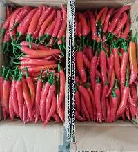 Fresh Chili