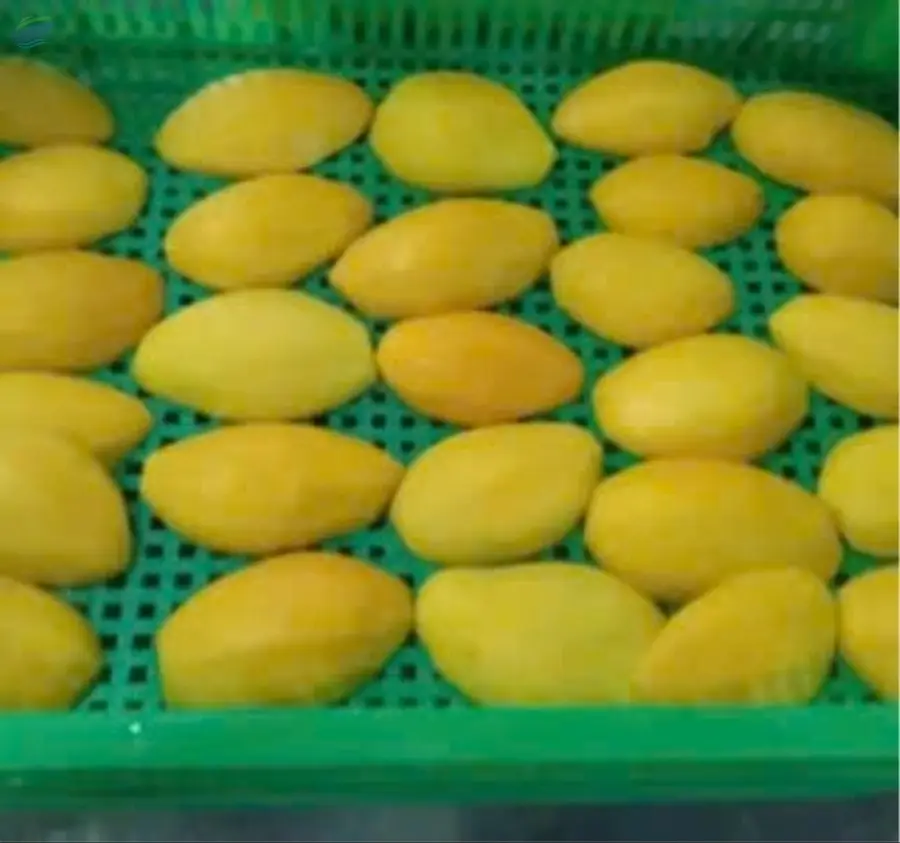 Frozen Mango