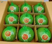 Green Skin Grapefruit