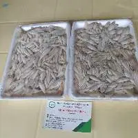Frozen Keski Fish