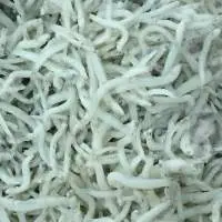 Frozen Chirimen Fish
