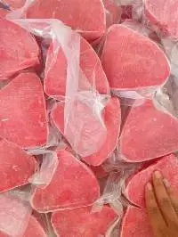 Frozen Tuna Fish