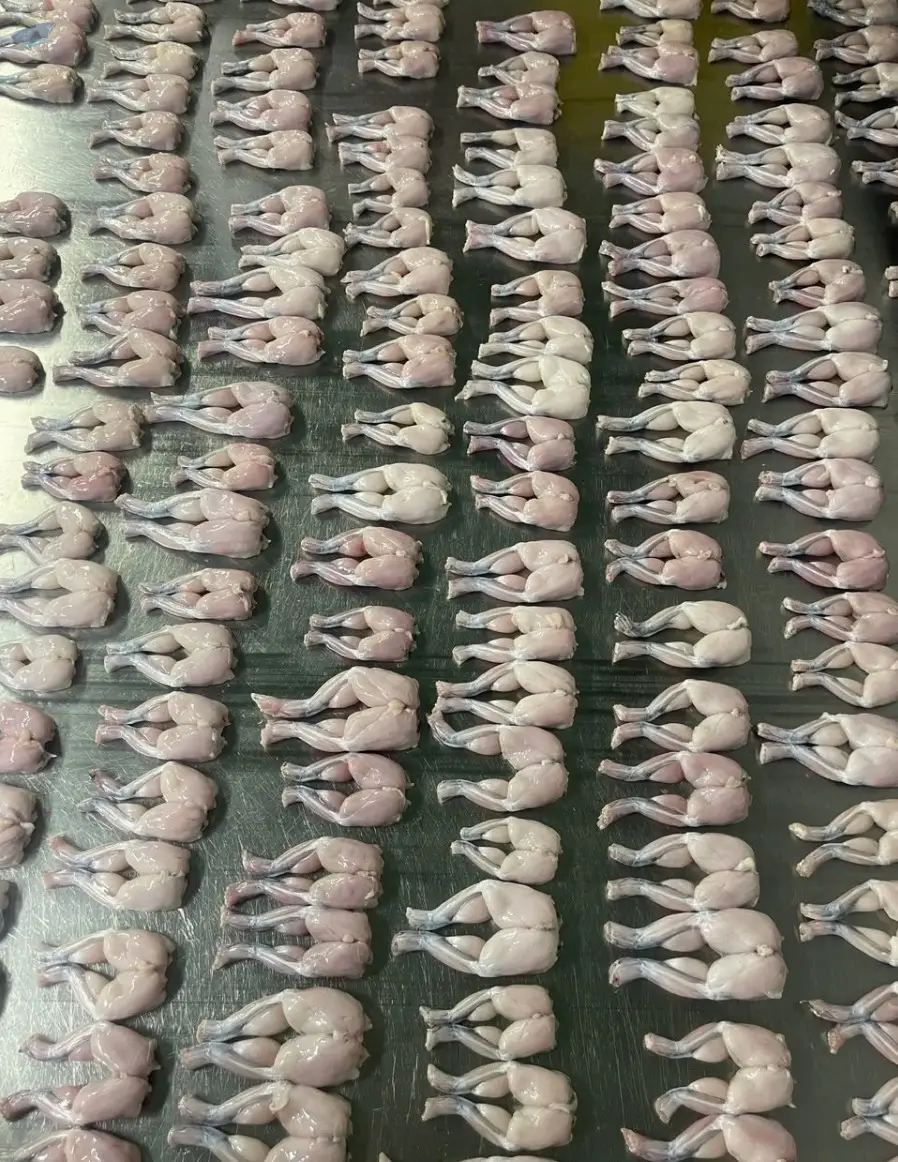 Frozen Frog Legs
