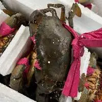 Frozen Mub Crab