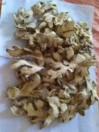 Dried Ginger