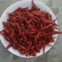Dried Chili