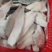 Tilapia Fillet