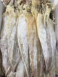 Dried Squid