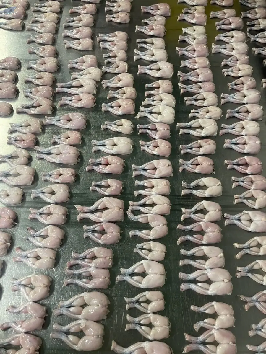 Frozen Frog Legs
