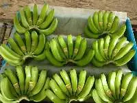 BANANA