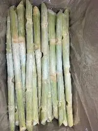 Frozen Sugarcane