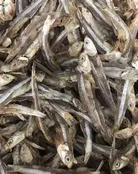 Dried Anchovy Fish