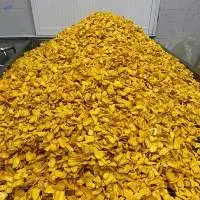 Dried Jackfruit