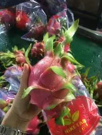 Fresh Dragon Fruit