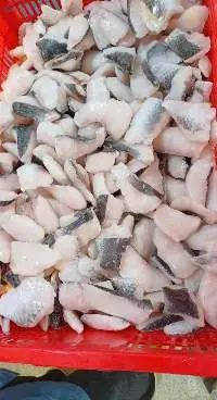 Frozen Sliced Snakehead Fish