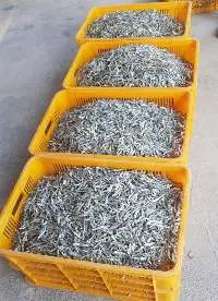 Dried Anchovy Fish