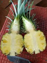 Fresh Pineapple