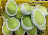 Fresh Mango