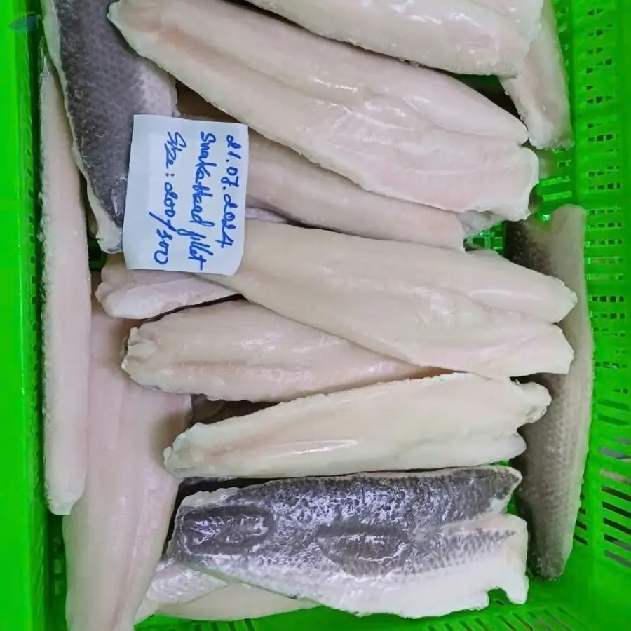 Frozen Snakehead Fish Fillet