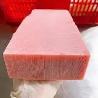 Frozen Tuna
