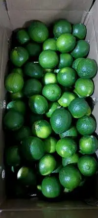 Green Lemon