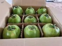Fresh Coconut