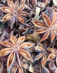 Star Anise