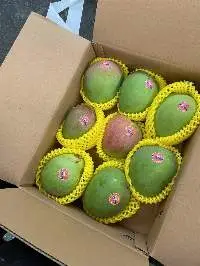 Fresh Mango