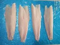 Frozen Snakehead Fish Fillet