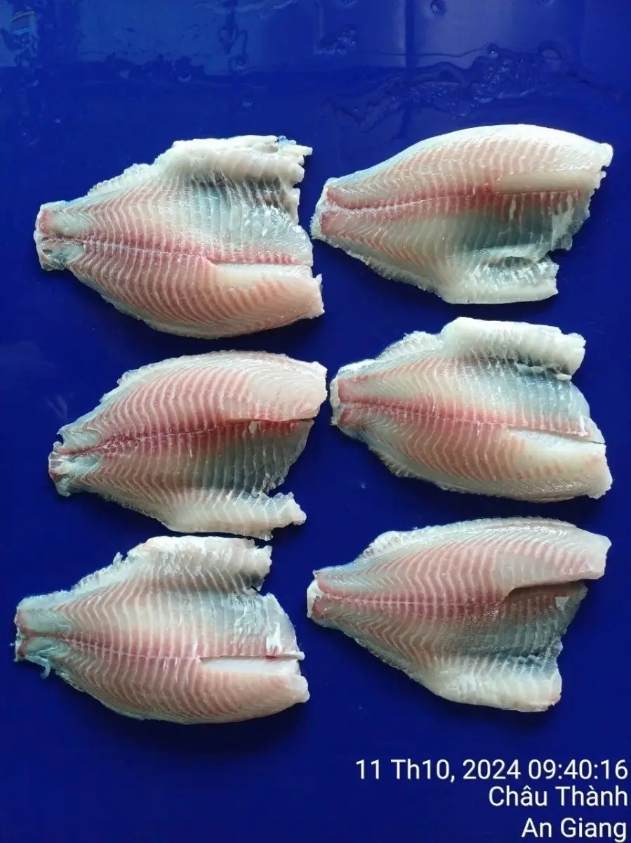 Red Tilapia Fillet