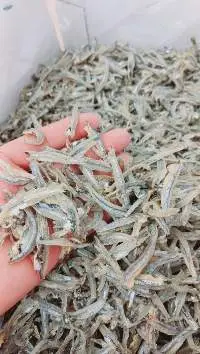 Dried Anchovy Fish