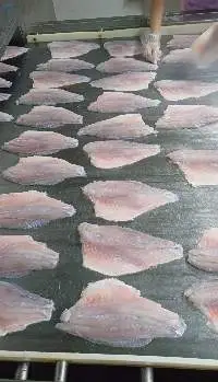 Sea Bass Fillet