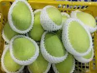 Fresh Mango