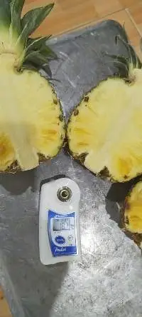 Fresh Pineapple