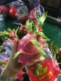 Fresh Dragon Fruit