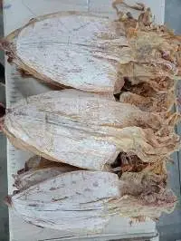 Dried Squid