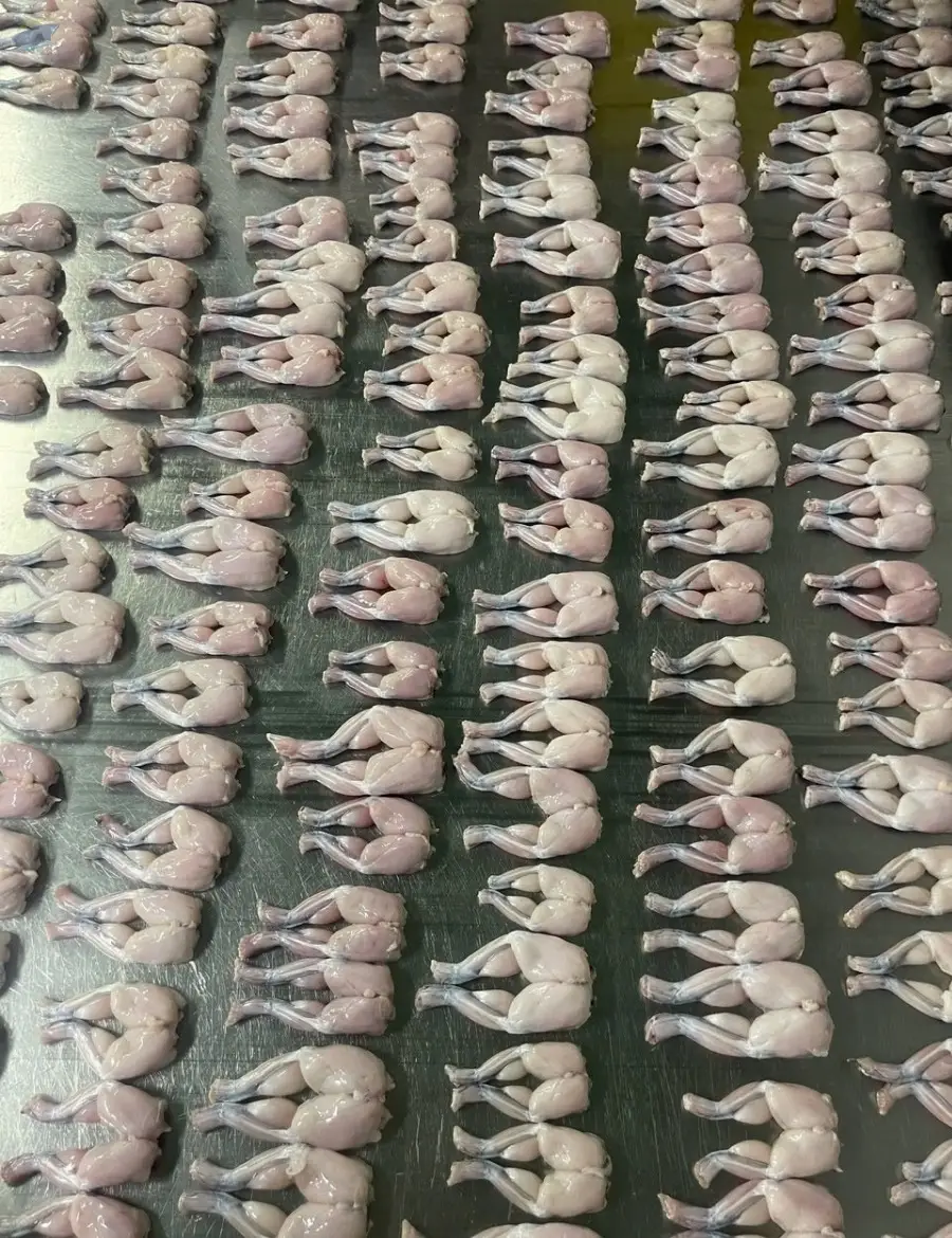 Frozen Frog Legs