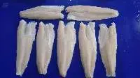 Snakehead Fish Fillet