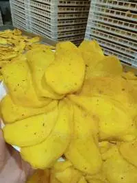 Dried Mango (Chewy)
