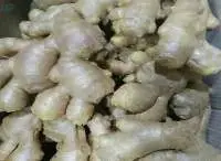Fresh Ginger