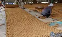 Coir Mats