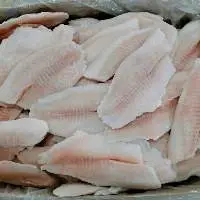 Frozen Tilapia Fillet