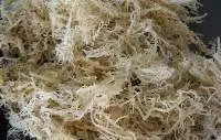 Dried Seaweed