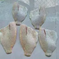 Frozen Red Tilapia Fillet