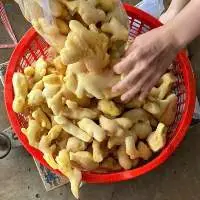 Frozen Ginger