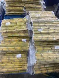 Frozen Sugarcane