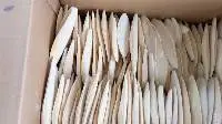 Dried Cuttlefish Bone