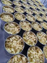 Canned Pineapple