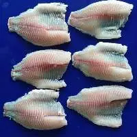 Red Tilapia Fillets