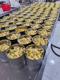 Canned Pineapple